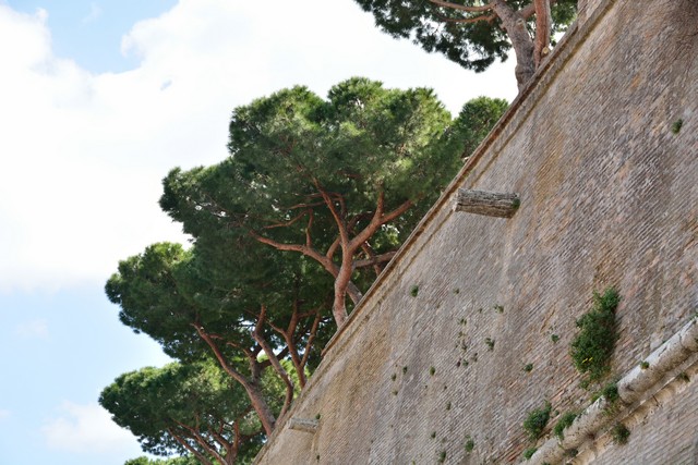 20150324 - Rome - 056